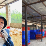 Bongeka Vilakazi’s Poultry Success: Ndwedwe Farmer Grows Broiler Business from 100 to 3,000 Chickens