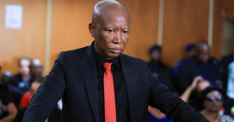 ulius Malema addressing supporters outside court after conviction