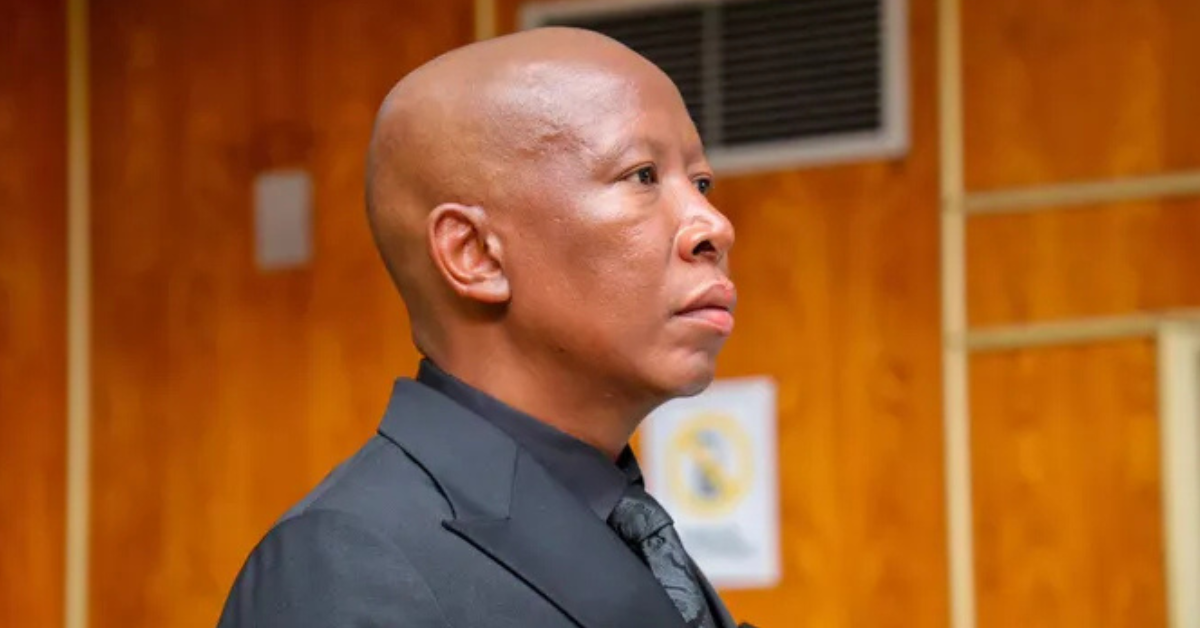 South African politician Julius Malema has called for forgiveness from Africans following repeated xenophobic tensions in South Africa