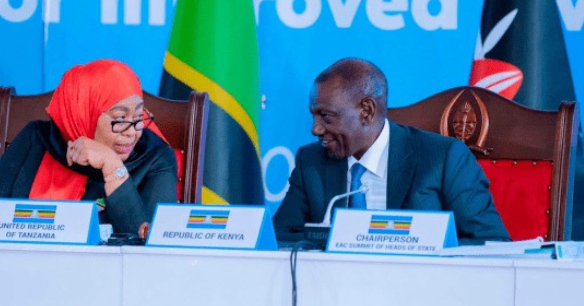 President William Ruto and President Samia Suluhu Hassan during Tanzania-Kenya trade talks in Dar es Salaam