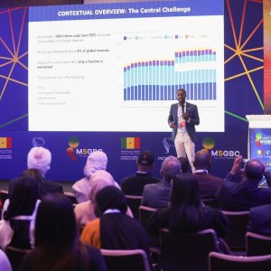 Africa Needs $375 Billion to Unlock Natural Gas Potential as Demand Rises