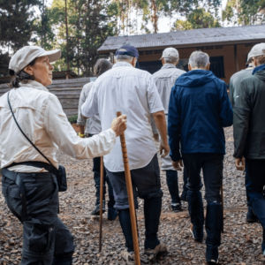 Rwanda Earns $161 Million From Foreign Visitors in 90 Days as Tourism Growth Accelerates.