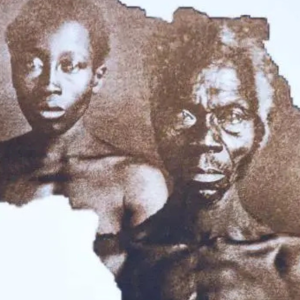 Historic Photos of Enslaved Africans Freed from Harvard’s Hold in Emotional Legal Victory