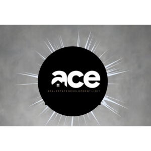 Real Estate Brand Of The Year: Winner- Ace Real Estate Development Limited